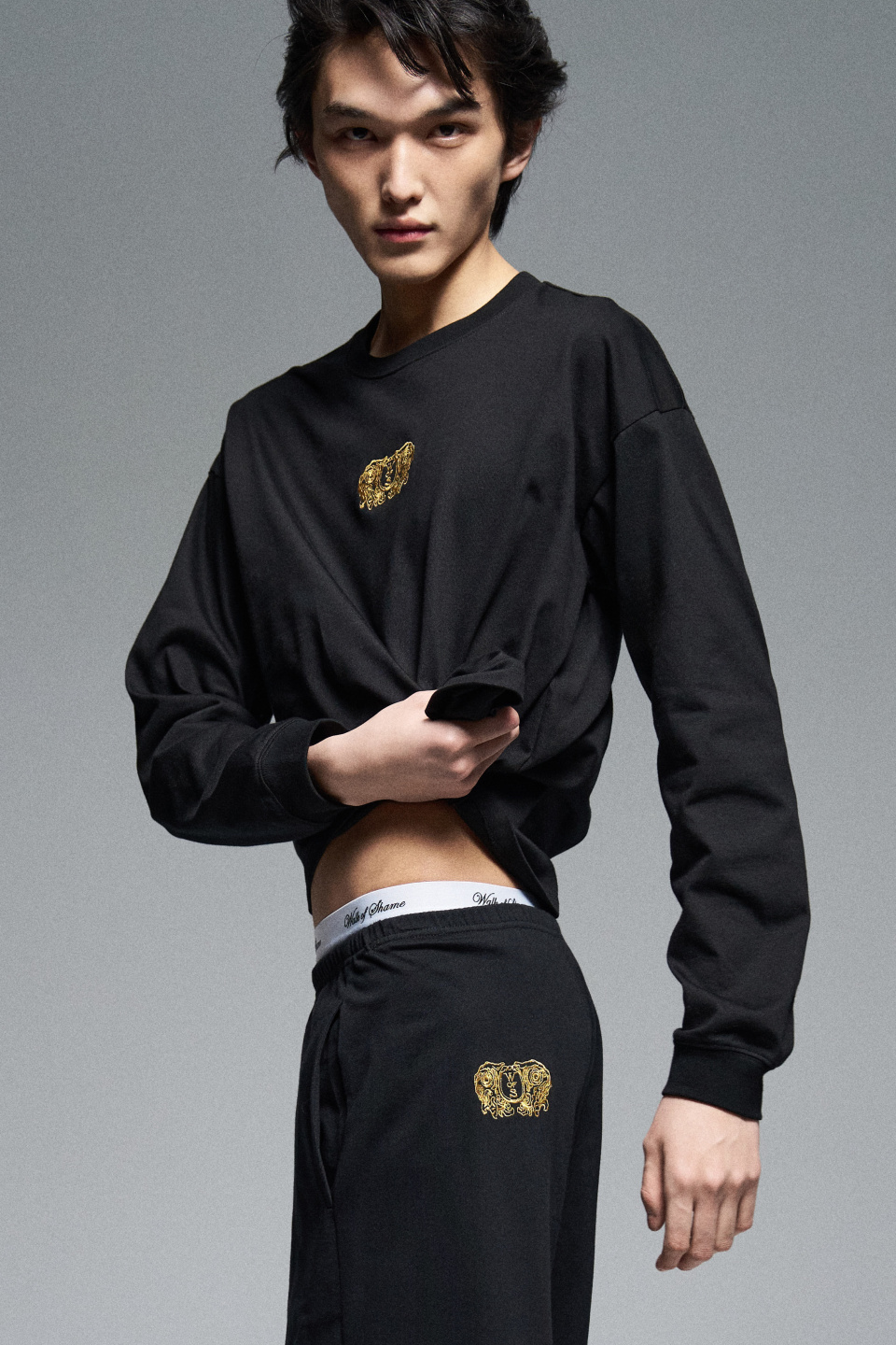 Лонгслив с гербом, фото 4